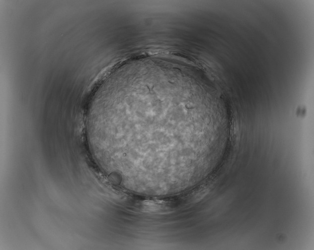 X0000114540367200911091138