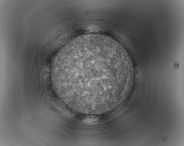 X0000114540369200911091138