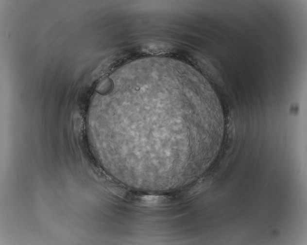 X0000114540371200911091139