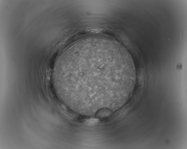 X0000114540374200911091139