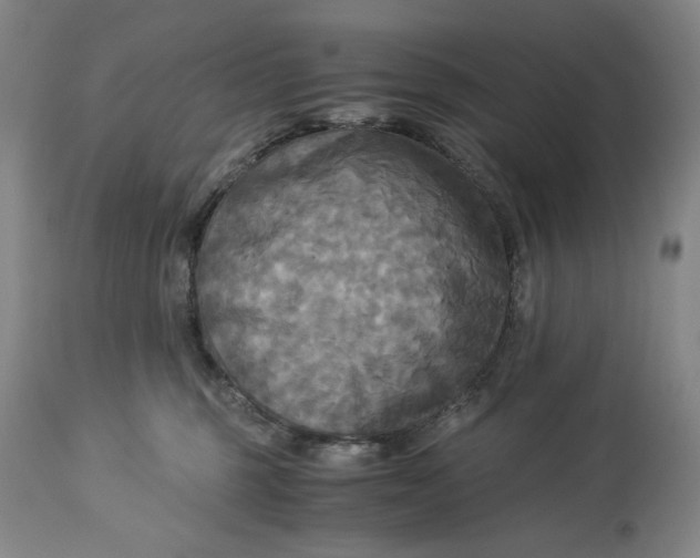 X0000114540375200911091139