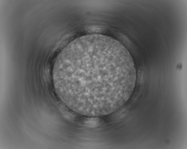 X0000114540377200911091139