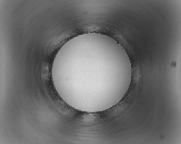 X0000114540378200911091139