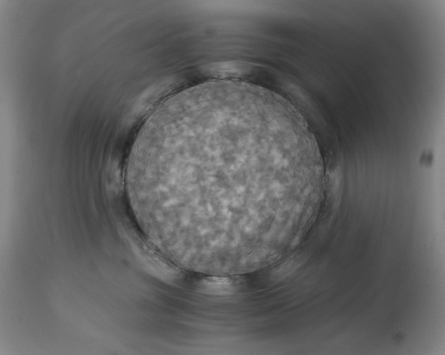 X0000114540381200911091139