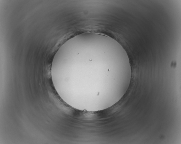 X0000114540383200911091139