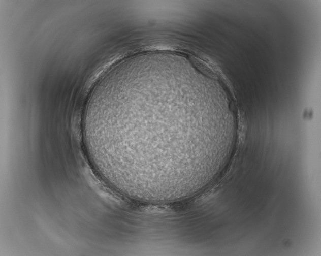 X0000114540386200911091138