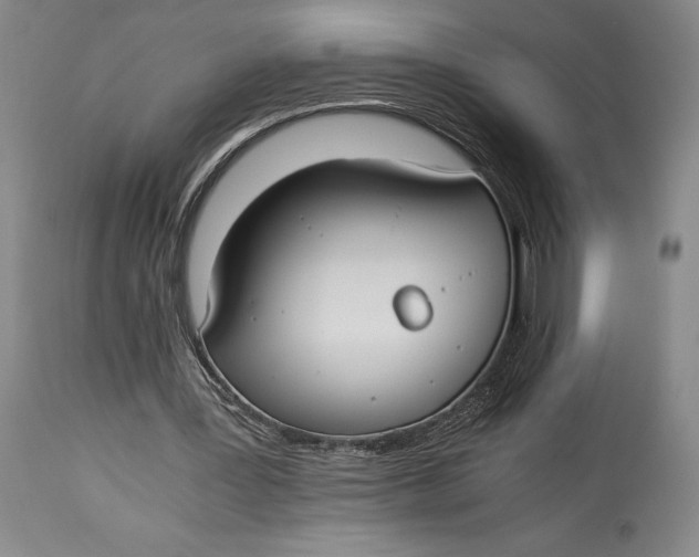 X0000114540387200911091138