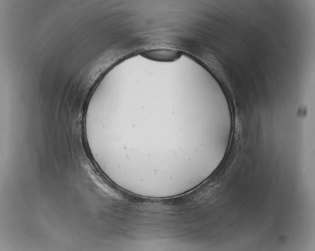 X0000114540389200911091138