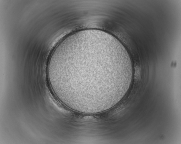 X0000114540390200911091138