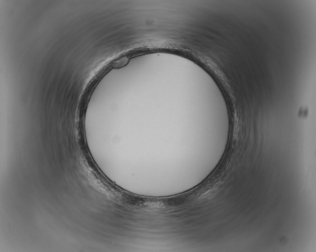 X0000114540391200911091138