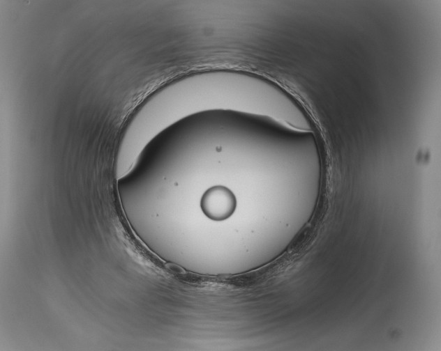 X0000114540393200911091138