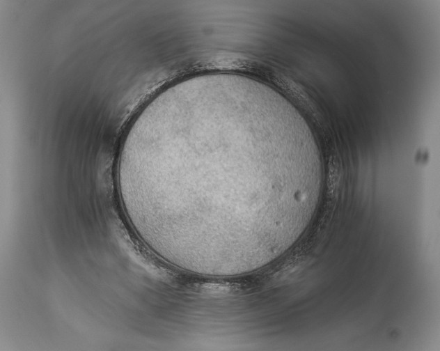 X0000114540394200911091138