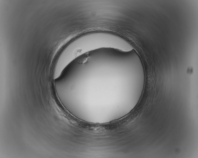 X0000114540395200911091138