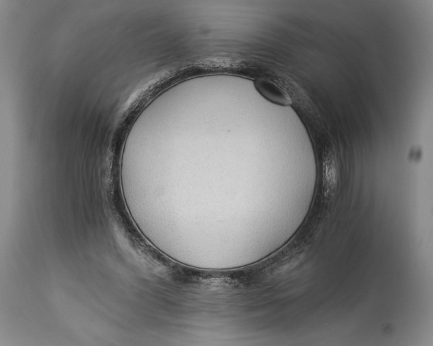 X0000114540396200911091138