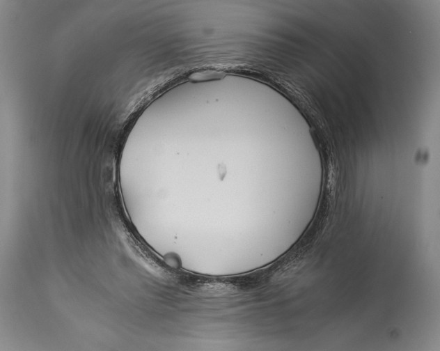 X0000114540397200911091138