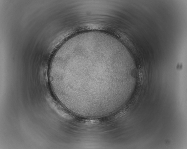 X0000114540398200911091138