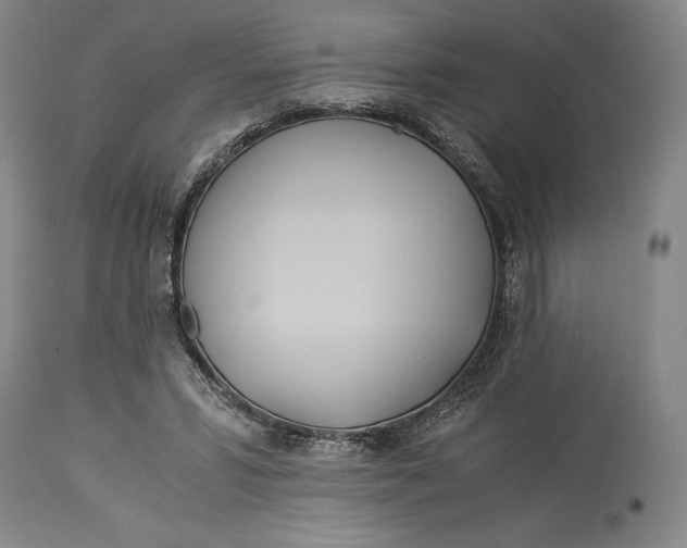 X0000114540399200911091138