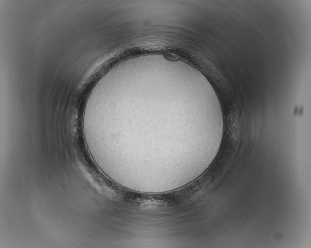 X0000114540400200911091138