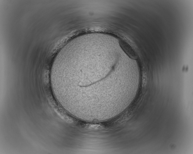 X0000114540401200911091138