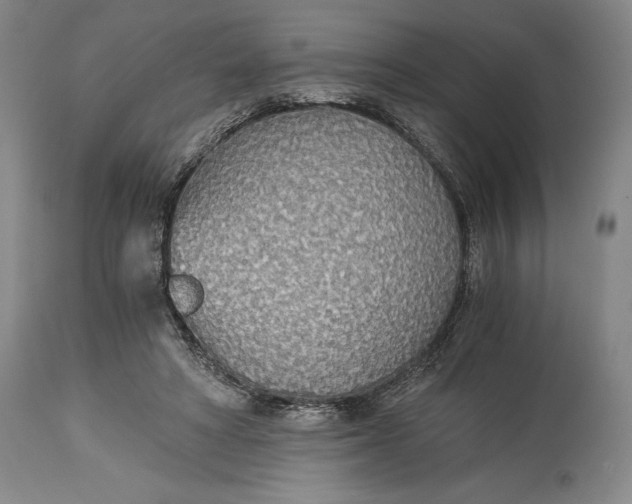 X0000114540402200911091138