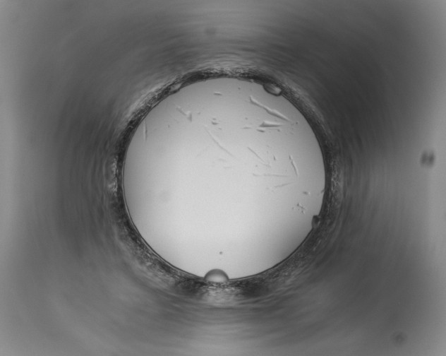 X0000114540403200911091138