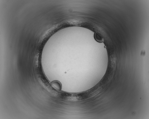 X0000114540404200911091138