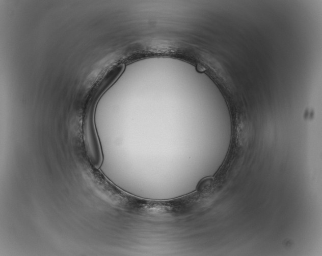 X0000114540407200911091138