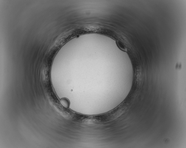 X0000114540408200911091138