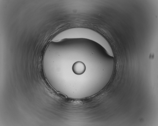 X0000114540409200911091138