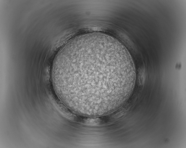 X0000114540410200911091138