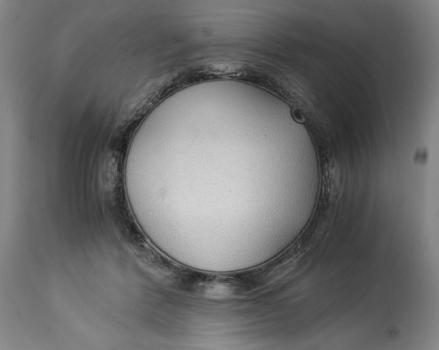 X0000114540412200911091138