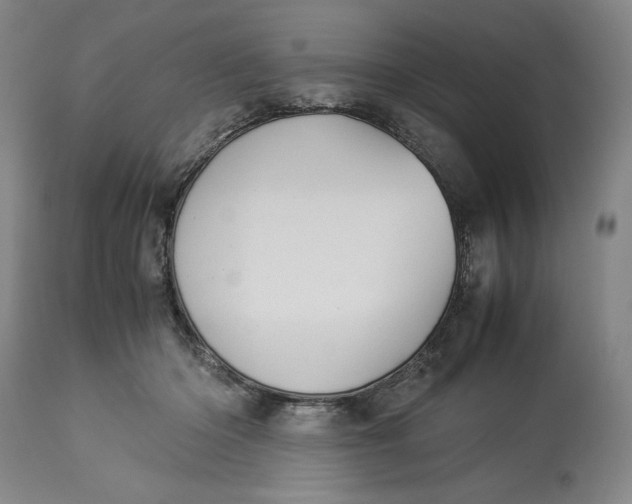 X0000114540414200911091137