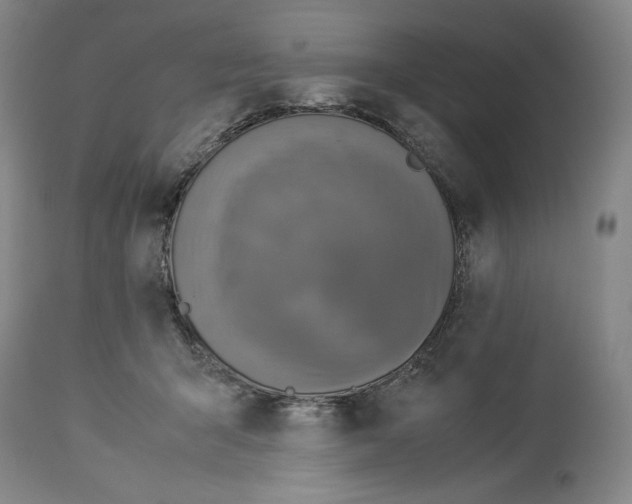 X0000114540415200911091137