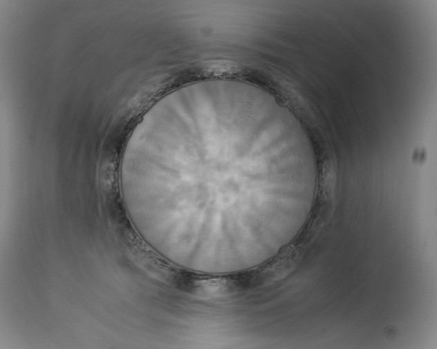 X0000114540417200911091137