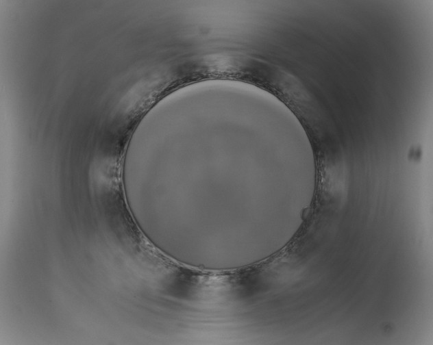 X0000114540419200911091137