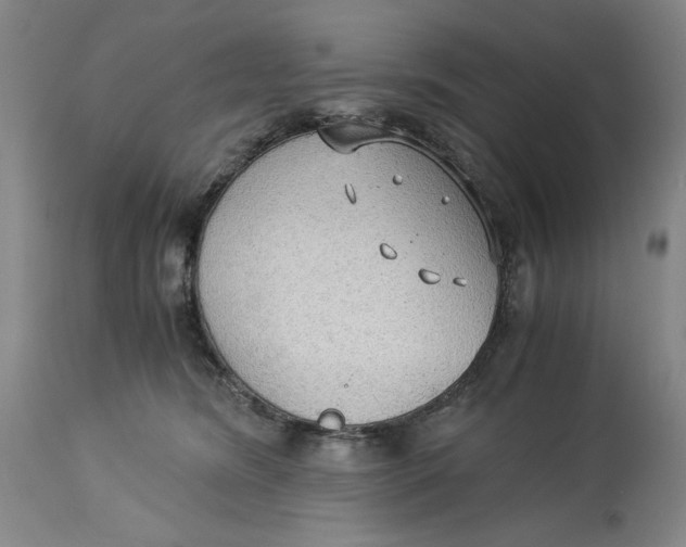 X0000114540420200911091137