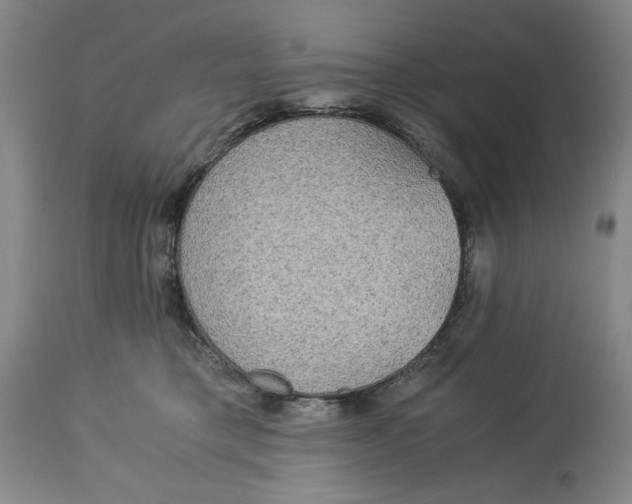 X0000114540421200911091137