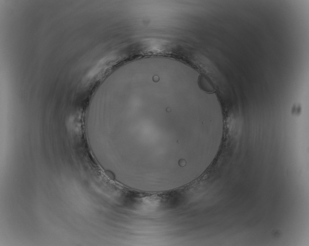 X0000114540423200911091137