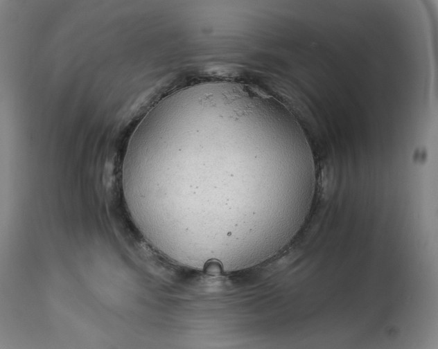 X0000114540424200911091137