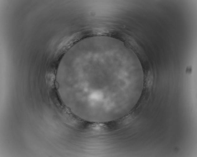 X0000114540427200911091137