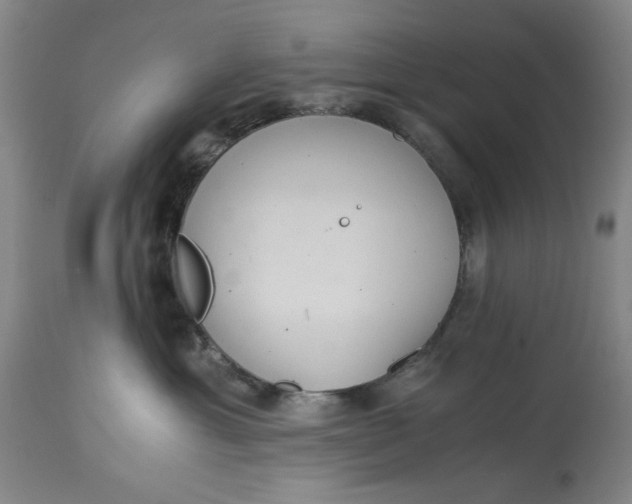 X0000114540429200911091137