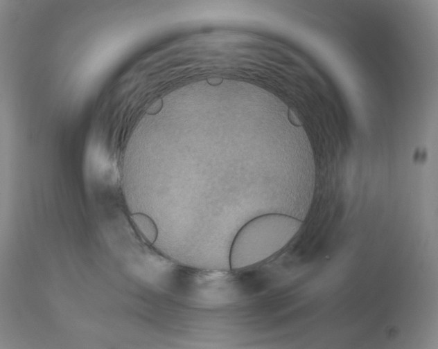 X0000114540431200911091137