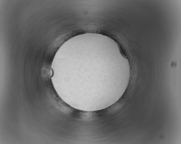 X0000114540432200911091137