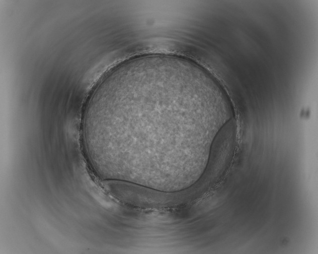 X0000114540434200911091137