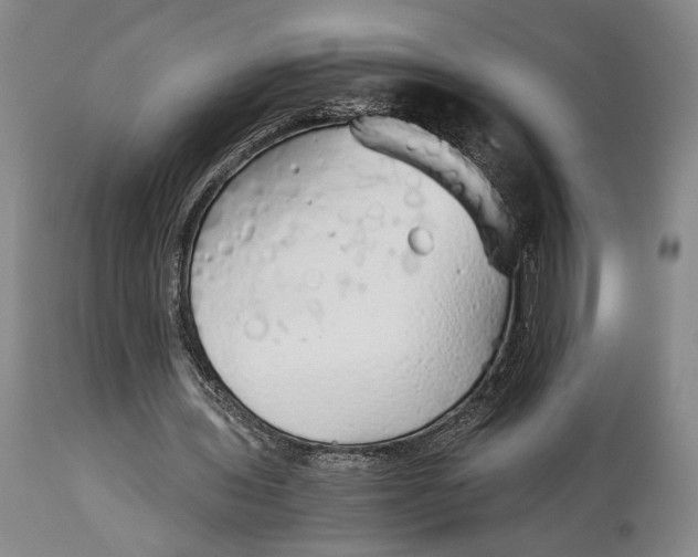 X0000114540435200911091137