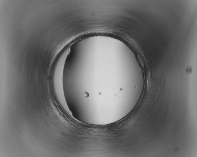 X0000114540436200911091137