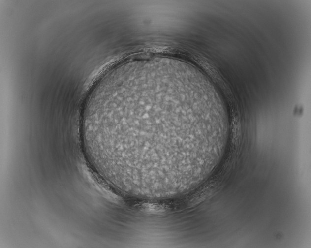 X0000114540442200911091137