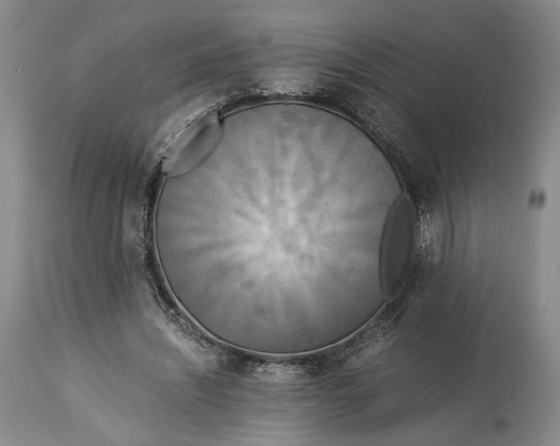 X0000114540444200911091137