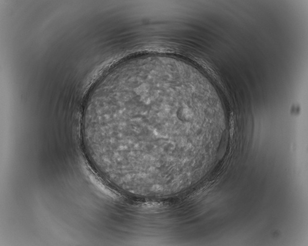 X0000114540445200911091137