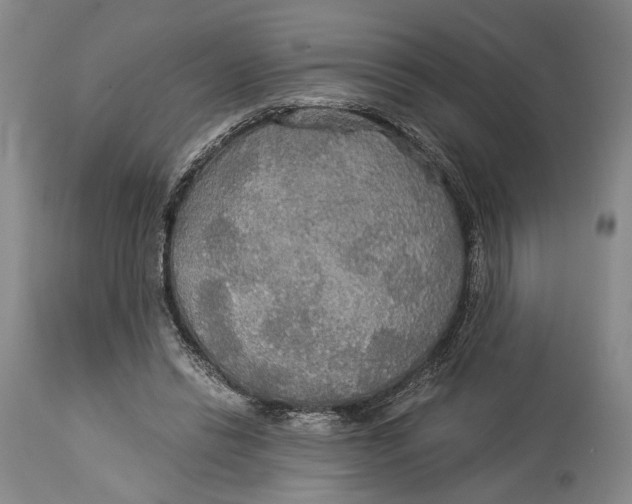 X0000114540446200911091137